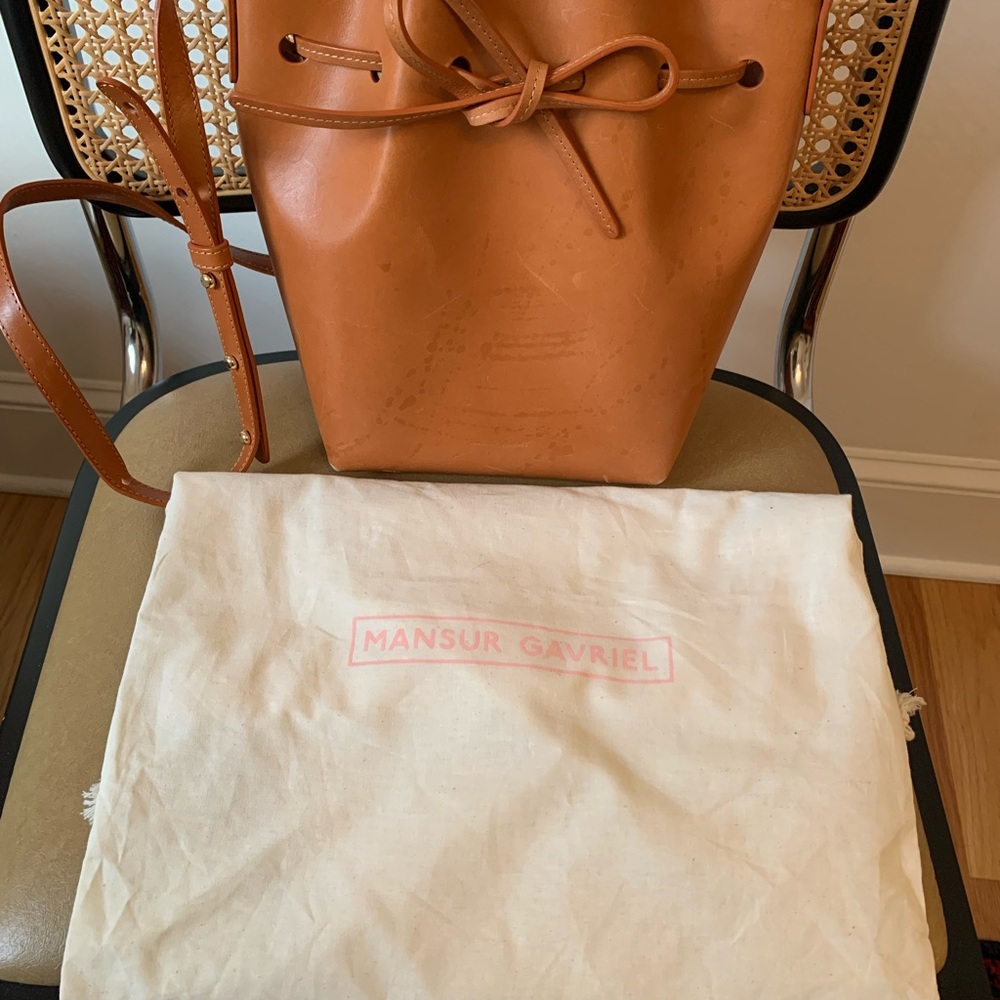 Mansur Gavriel Mini Bucket Bag in Cammello/Rosa